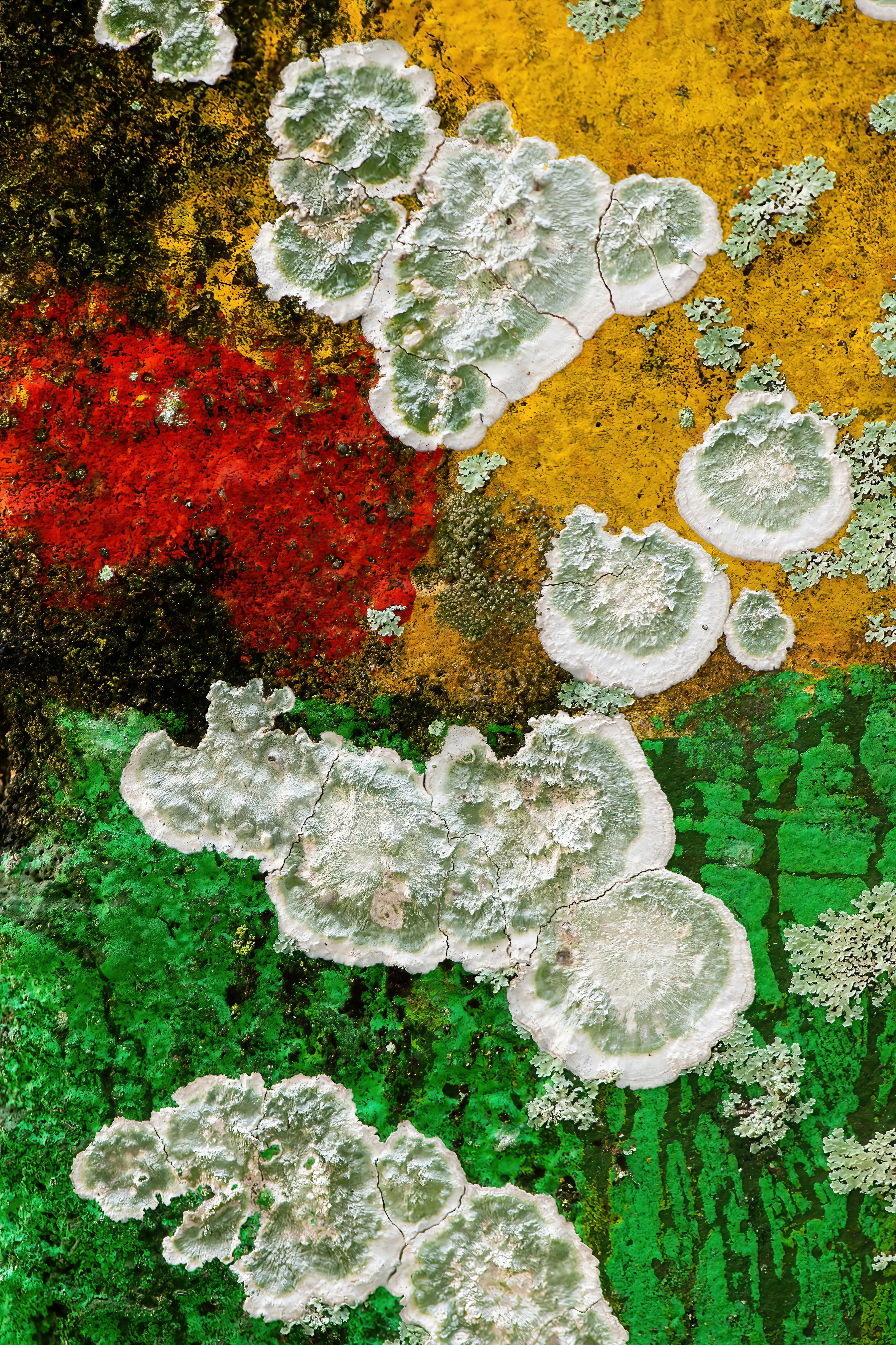 Estos son los 15 mejores Softwares ESG en 2026