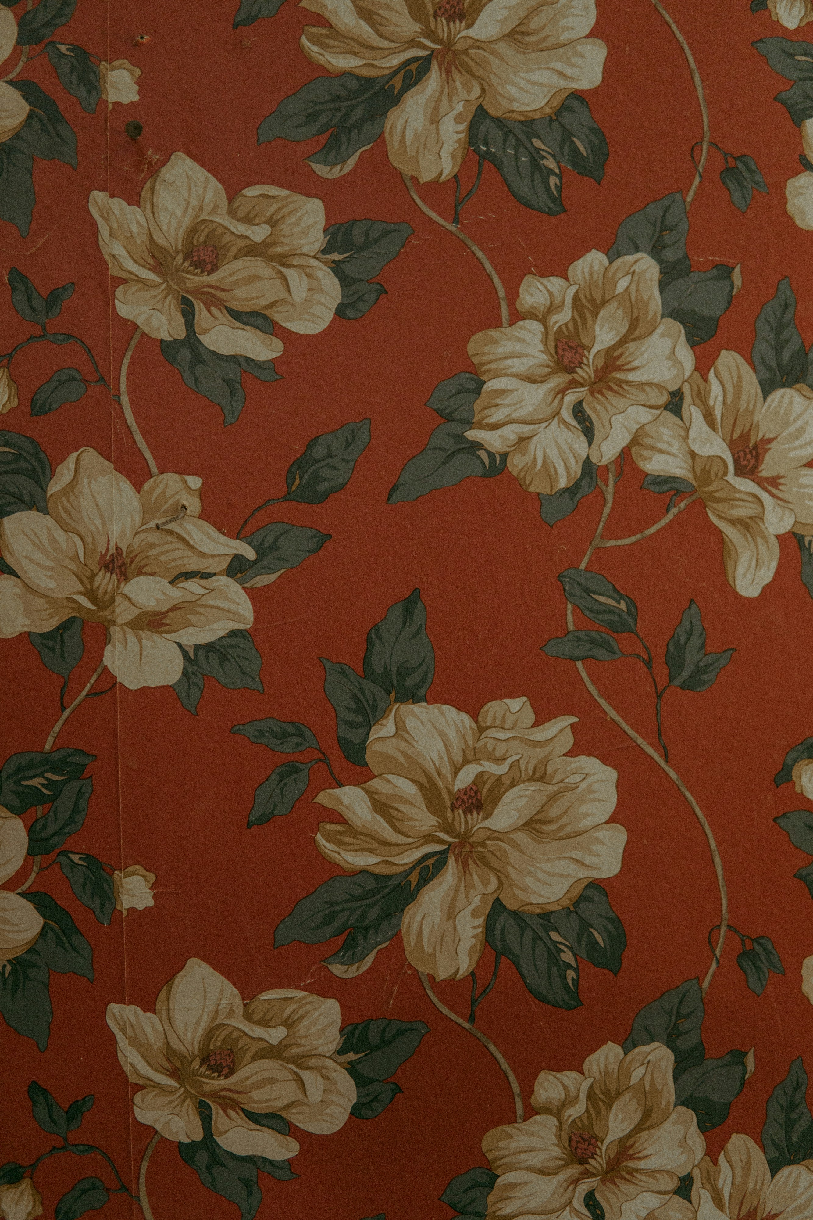 Dcycle adquiere ESG-X para liderar la gestión de datos ESG en Europa