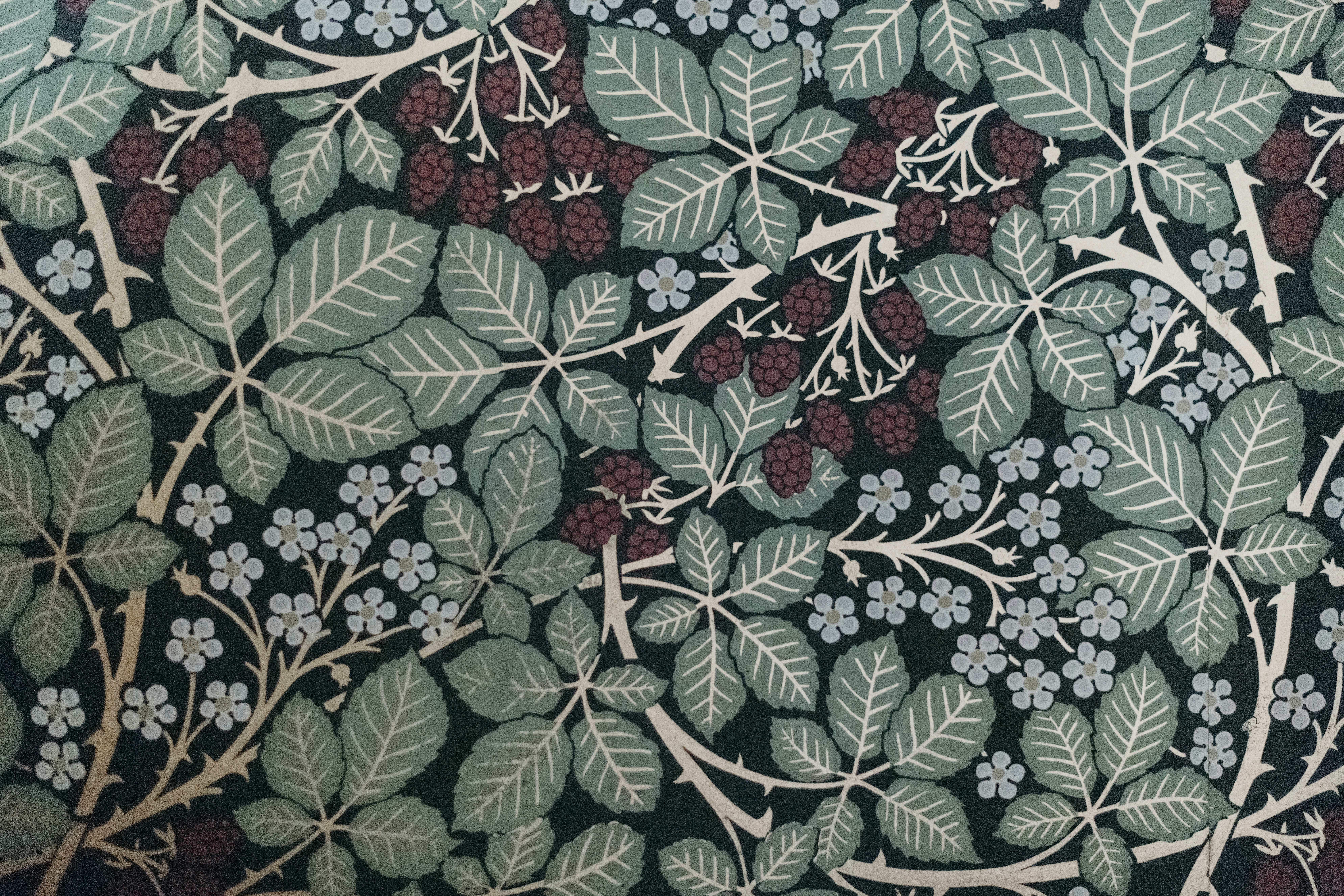 ¿Cuánto cuesta Watershed? Análisis detallado de sus precios