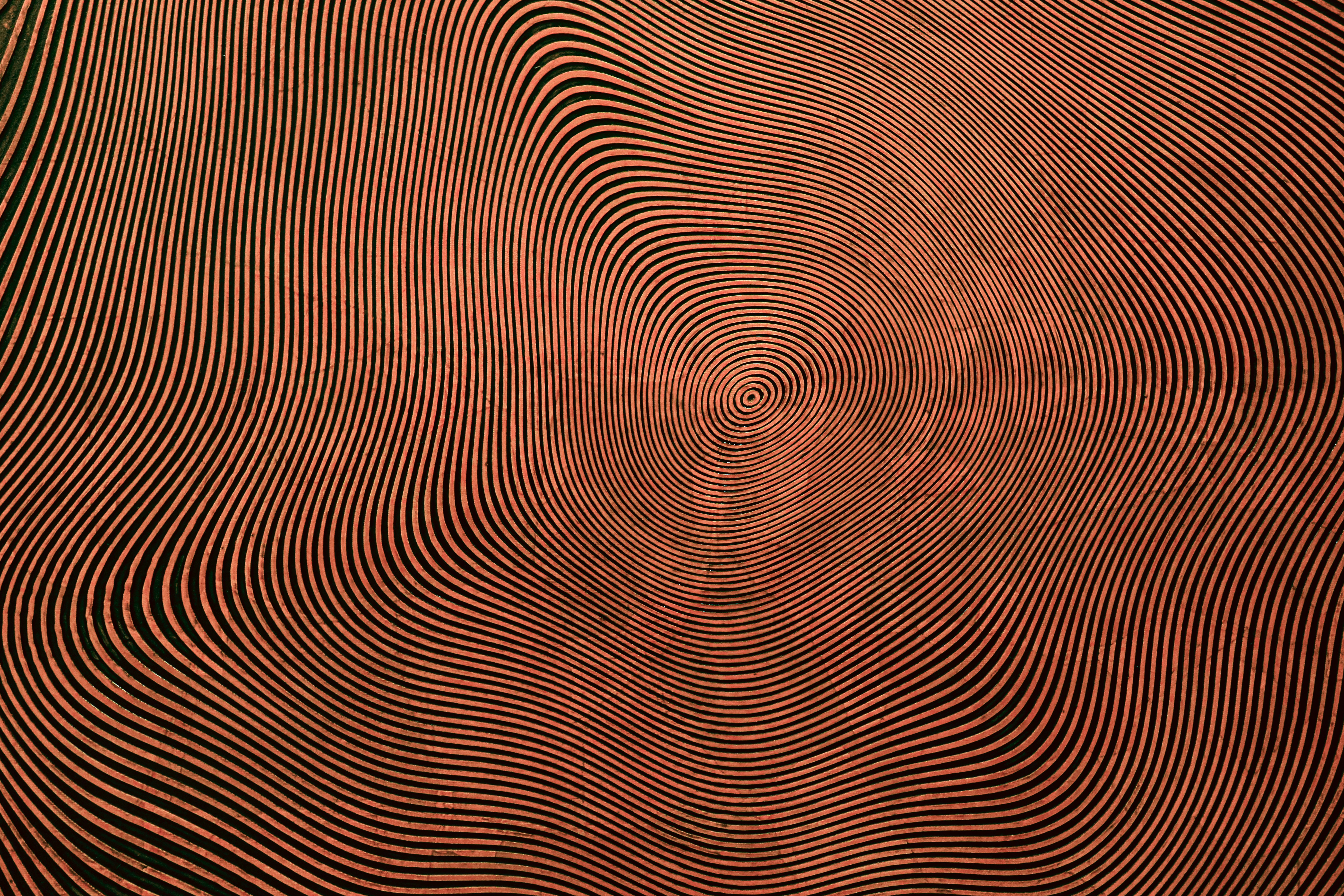 Cuánto cuesta Lucanet y qué incluye su precio