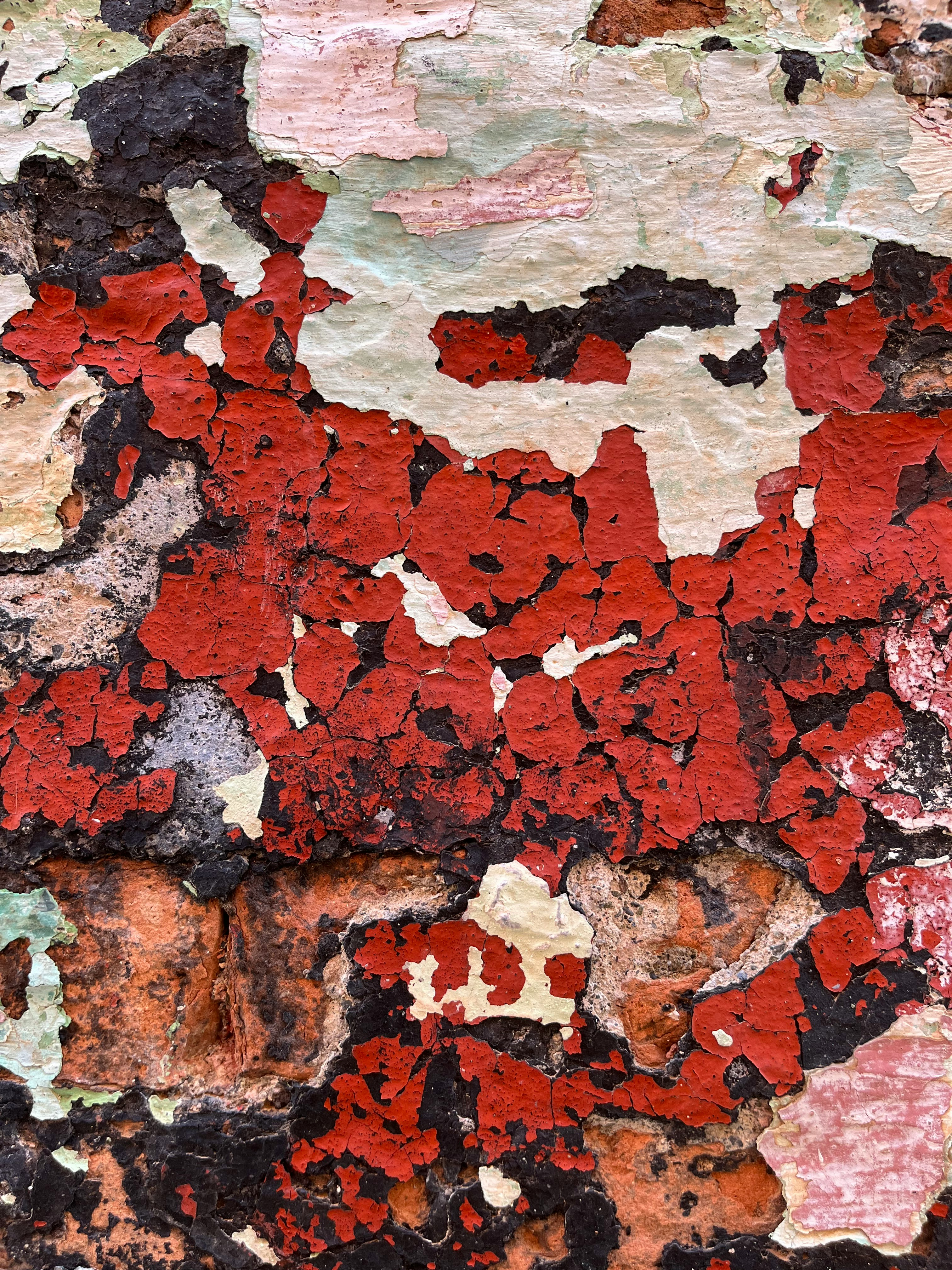 Guía paso a paso para obtener la certificación ISO 14001