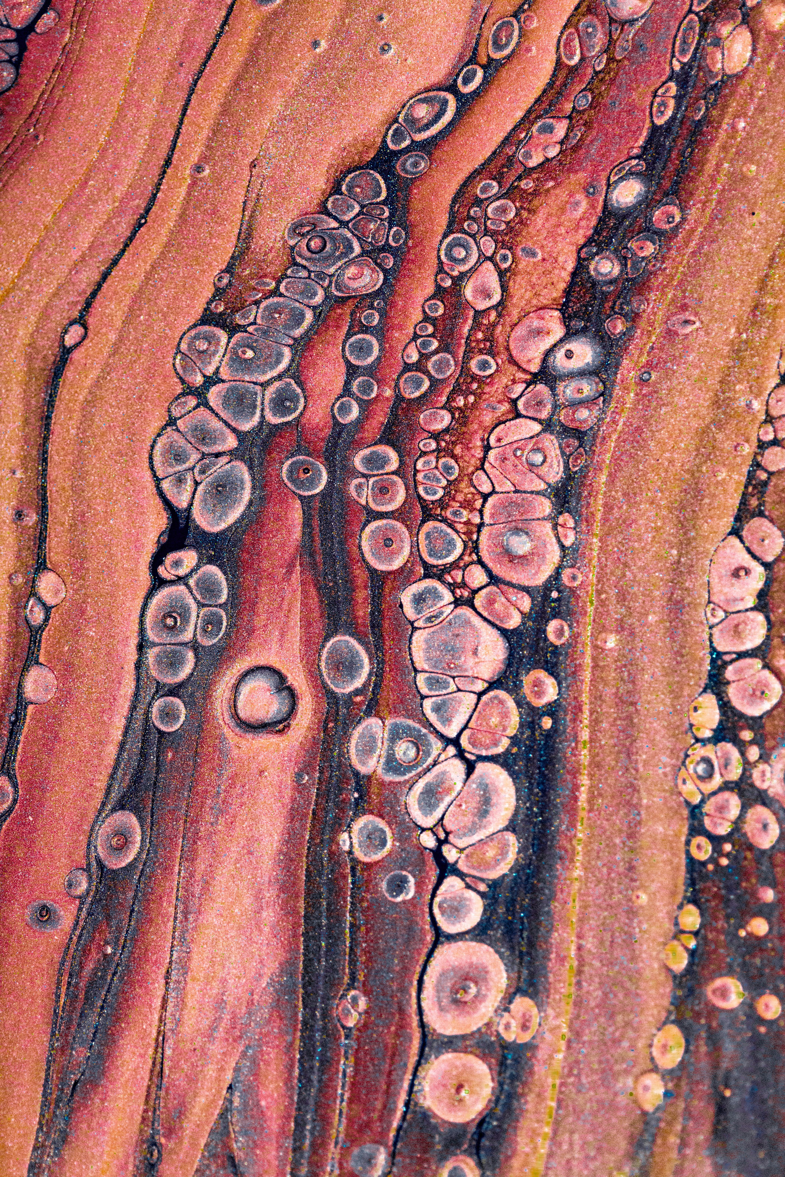 Google en Microsoft Sign-In