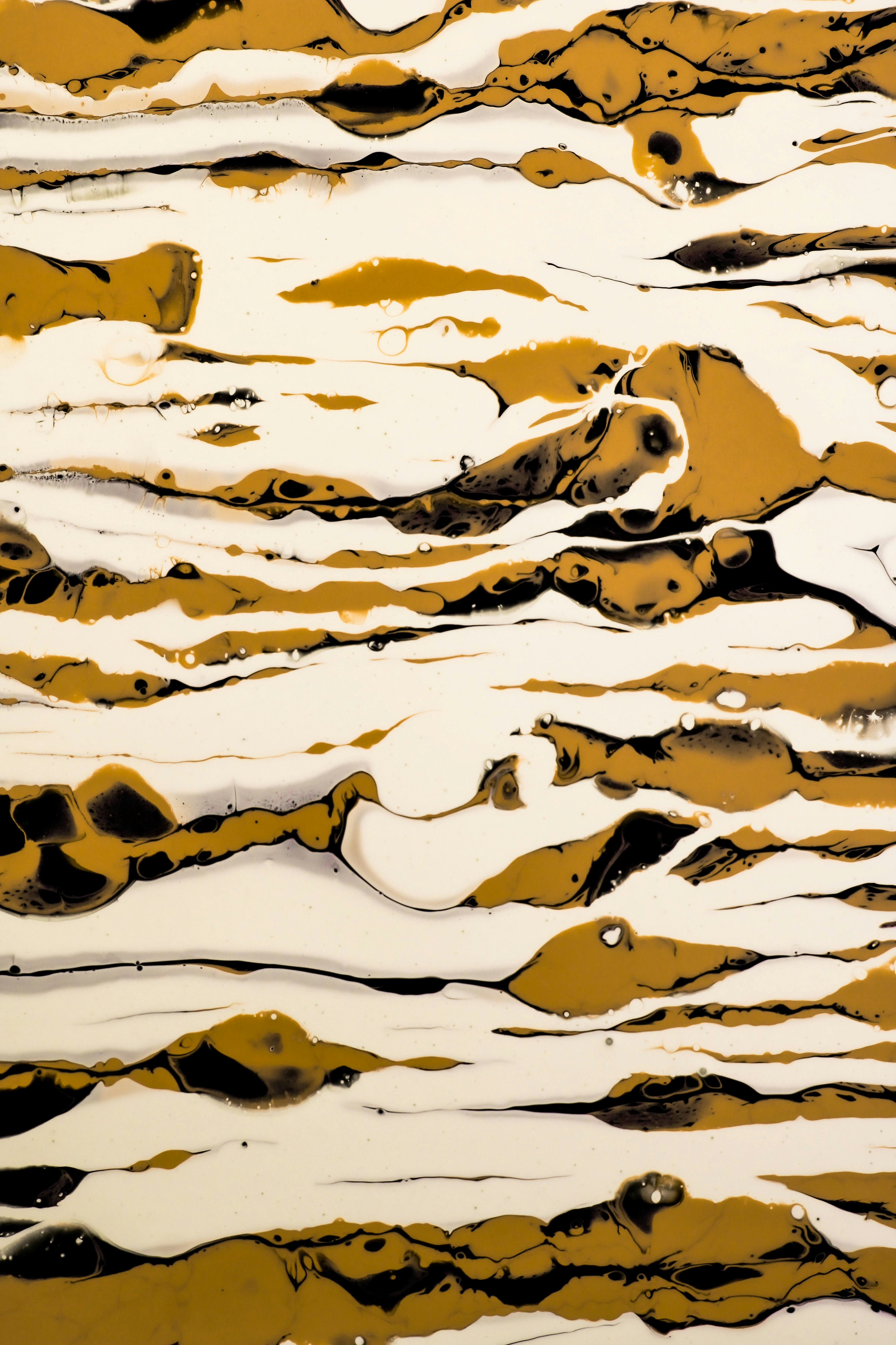 ¿Fomenta el Black Friday el consumo excesivo?