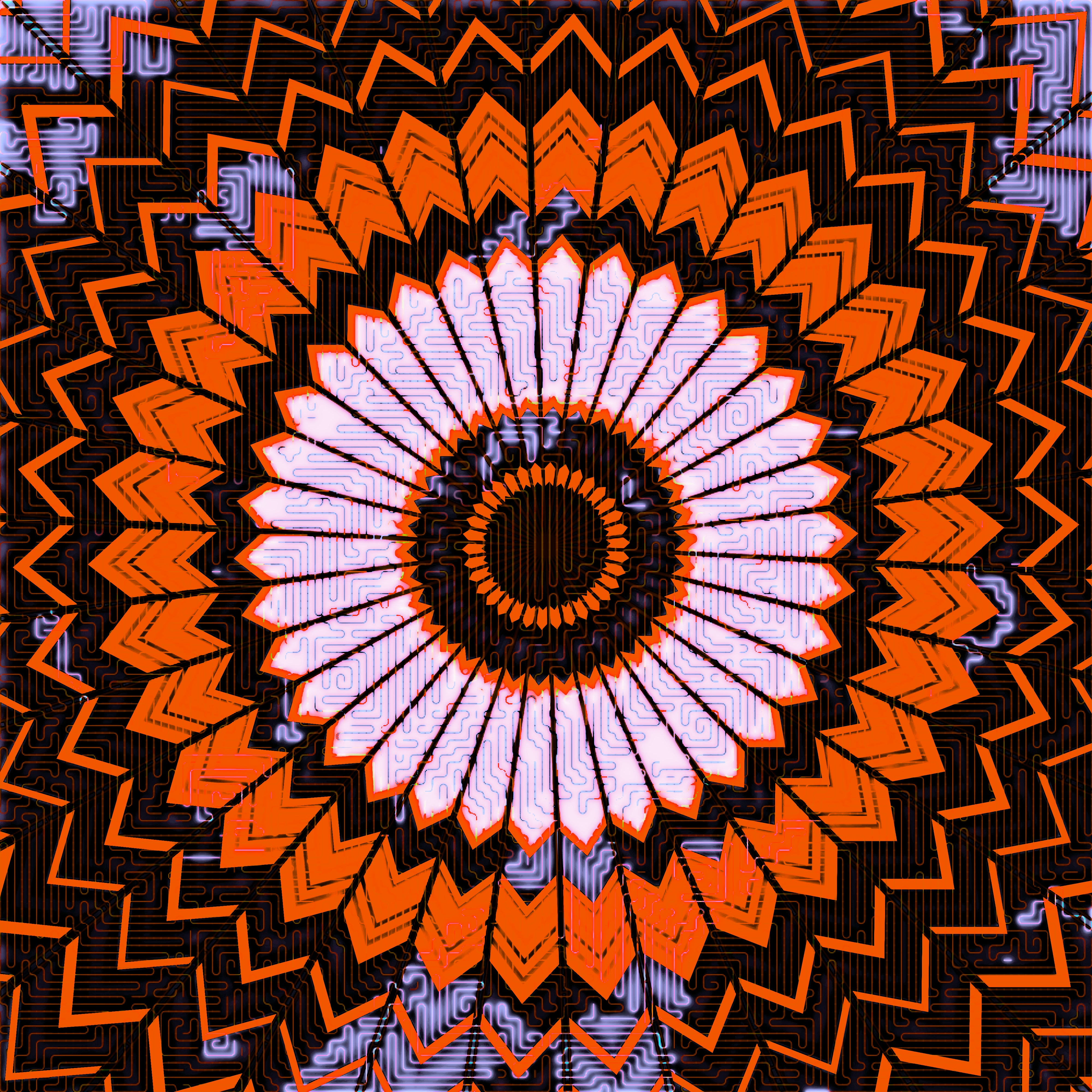 Customise il columns in il tuo tables