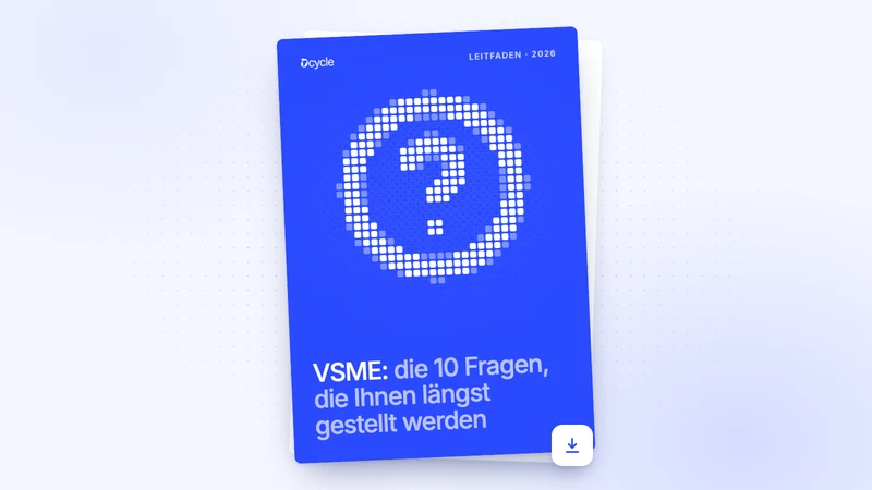 VSME: die 10 Fragen, die Ihnen längst gestellt werden